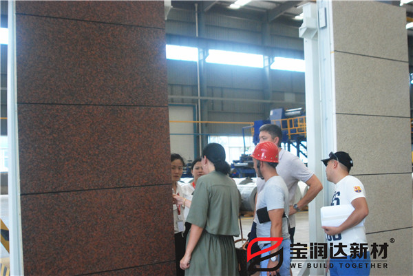 一體板 外墻保溫